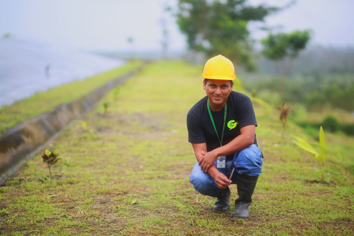 Técnico de COINSU supervisando plántulas de palma en el vivero